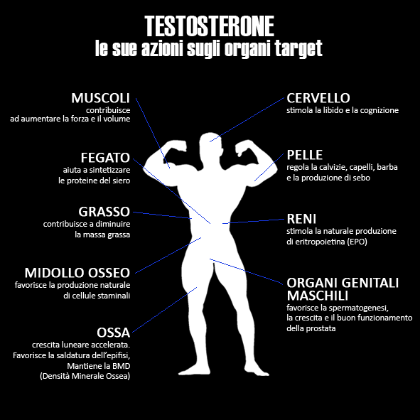 In 10 minuti ti darò la verità su Testosterone prezzo