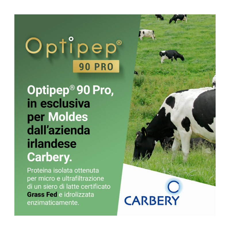 VB WHEY 104 9.8 - Integratore di proteine in polvere per la crescita muscolare