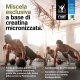 CREATINA ALKA 8 - Integratore con Creatina per performance e recupero muscolare