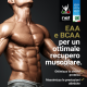 MAS PEP LIPOSOMIALE - Integratore EAA e BCAA