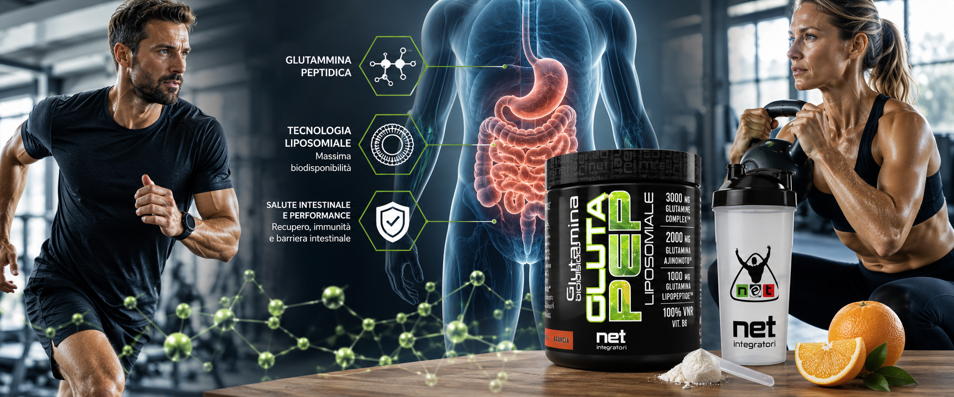 Salute intestinale e performance: la biochimica della Glutammina peptidica e l'innovazione liposomiale